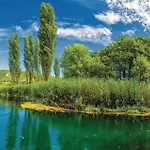 Amazing In *